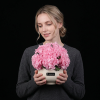 Moederdag Valentijnsdag Decoratief Cadeau Eeuwige Schoonheid Natuurlijke Verse Bloemen Ge conserveerde Hortensia in Keramische Vaas