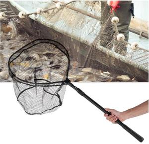 TOPIND Filet d'atterrissage <span class=keywords><strong>en</strong></span> alliage d'aluminium pliable <span class=keywords><strong>en</strong></span> nylon monofilament fin <span class=keywords><strong>pour</strong></span> la pêche <span class=keywords><strong>en</strong></span> rivière de <span class=keywords><strong>mer</strong></span> fabriqué <span class=keywords><strong>en</strong></span> Chine - Product Image 4