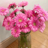 Gerbera Daisy Mini Bing Yu Grade A Grosir - Warna Pink untuk Buket, Langsung dari Produsen untuk Dekorasi Pernikahan, Rantai Dingin