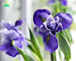 <span class=keywords><strong>Iris</strong></span> artificiel fleur mariage mariée maison cuisine fête décor réel toucher longues tiges véritables arrangements <span class=keywords><strong>violet</strong></span> <span class=keywords><strong>violet</strong></span> - Product Image 5