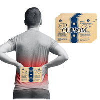 Patch analgésique à base de plantes OEM, marque privée, patch transdermique pour le corps, pour les soins des muscles et des articulations