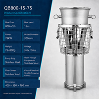 Pompe submersible à aimant permanent en acier inoxydable QB800-15-75 pour contrôle des inondations, 380V/50Hz triphasé, débit 800 m³/h, sortie DN300, OEM