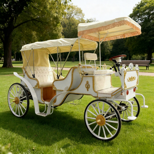 Carruaje Real Clásico de Lujo/Carruaje Eléctrico Europeo para Turismo/Carruaje de Caballos Eléctrico para Turismo - Product Image 1