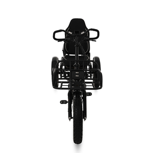 Nhanh chóng vận chuyển 130ah 2 Pin E Trike Kenda chất béo lốp 2000W Điện nằm ba bánh 400km nằm người lớn E ba bánh - Product Image 5