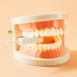 Contenitore per Dentiere in Plastica, Scatola per Pulizia Dentiere Finte, Custodia per Paradenti con Rete - Product Image 1