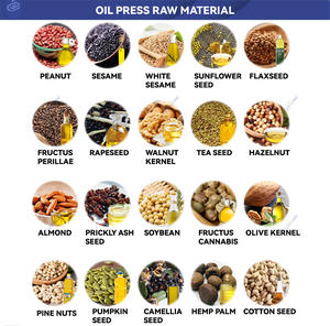 Línea de producción de aceite Máquina Prensa Extracción de aceite para la producción de aceite de palma de China - Product Image 5