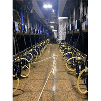 Salle de traite en forme de huit, équipée d'un compteur de lait Waikato, adaptée à 8 à 40 postes de traite pour vaches laitières.