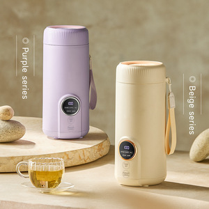 Dropshipping Products 2026 Portable Electric LED Digital Display Boiling Water Bottle Leakproof Travel Milk Heating <b>Cup</b> - Product Image 3