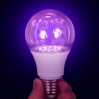 Lampe Piège à Insectes AC 110V-220V A19 Culot E26 Décoration Paysagère Résidentielle 12W Ampoule LED UV Violette Noire CRI 80 1000