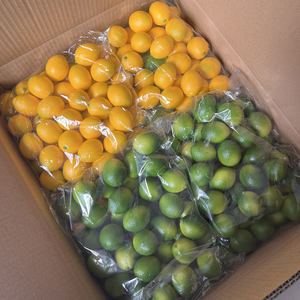 Mini citrons artificiels de haute qualité de 1,77'', 2,95'', 3,74'', 2,17'' pour la décoration créative des restaurants. - Product Image 4