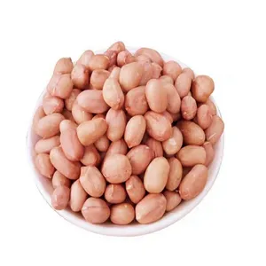 Grosir Kacang Kualitas Tinggi 100% Kacang Mentah Alami Tanpa Cangkang