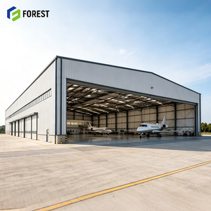 Hangar d'avion préfabriqué à grande portée en acier galvanisé à haute clarté de sol, structure en acier pour terminal aérien - Product Image 1
