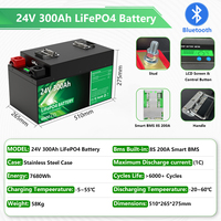Batteries LiFePO4 Phosphate Fer Lithium Solaire 12V 24V 100Ah 200Ah 280Ah 300Ah en Stock UE PL Sans Taxe, Batteries Lithium-Ion 24V