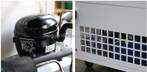 Machine de lyophilisation compacte pour aliments, sécheuse sous vide peu encombrante pour petites ateliers et entreprises alimentaires - Product Image 4