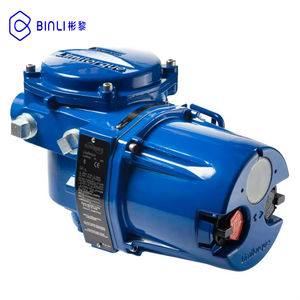 Actuador Limitorque Qx para Trabajos con Actuador Ez Body - Product Image 4