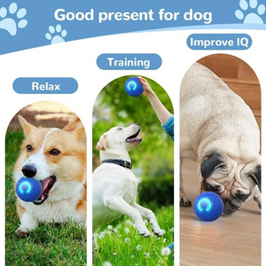 Akıllı kedi oyuncak 360 ° otomatik interaktif akıllı köpek topu oyuncak interaktif Pet oyuncaklar tip-c şarj kediler için haddeleme topu - Product Image 4