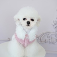 Rose mignon animal de compagnie automne hiver amoureux vêtements chaud chien robe et gilet