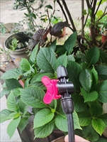 Vanne de régulation droite 8/12 pour tuyau d'irrigation goutte à goutte, raccord en plastique pour micro-irrigation de jardin
