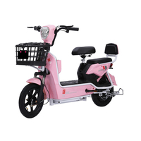 Super Offre sur un Vélo Électrique 350W pour Deux Personnes - Comprend un Affichage Numérique et une Alarme à Distance
