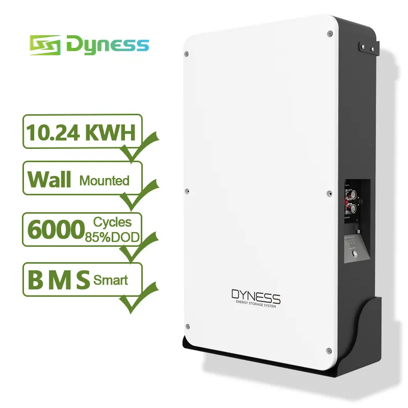 Dyness 51.2v200ah Wall Mounted Lifepo4 Battery Factory Price 48v 200ah 10kwh 20kwh Lithium Battery Pack 10kw Solar Home System