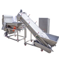Machine automatique de nettoyage des noyaux de noix, capacité de 1000 kg/h, pour amandes et noix, séparation par densité