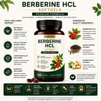 Gélules de berbérine HCL de haute qualité en gros (OEM/ODM) pour l'équilibre métabolique et les soins corporels – Complément de santé sous marque privée