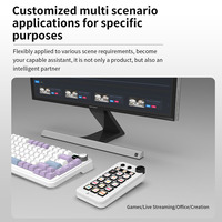 Contrôleur de raccourci de macro de clavier programmable visuel d'Ajazz N1 pour le bureau