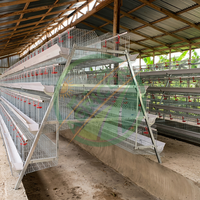 Nouvelle cage à batterie pour 128 poules, 4 niveaux, 4 portes, en acier galvanisé, avec collecte automatique des œufs, équipement d'élevage avicole Agricon
