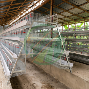 Jaula para Gallinas Ponedoras, 128 Aves, 4 Niveles, 4 Puertas, Tipo A, para Granja Avícola, Galvanizada, Recolección Automática <span class=keywords><strong>de</strong></span> Huevos, Alojamiento Avícola Duradero - Product Image 4