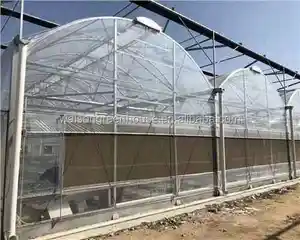 Grandi serre agricole moderno giardino film plastico tunnel pomodoro verdura multi campata serra