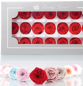 Cabezas de <span class=keywords><strong>Rosa</strong></span> Austin Naturales Preservadas, Rojas, de 2-3 cm de Diámetro, para Decoración del Día de San Valentín, DIY 2026 - Product Image 1