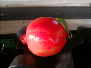 Selezionatrice digitale ad alta velocità del peso della macchina imballatrice di classificazione del pomodoro dell'acciaio inossidabile 304 - Product Image 2