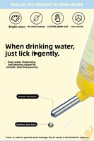 Bouteille d'eau anti-goutte pour petits animaux, distributeur d'eau à roulement à billes pour hamsters, lapins et cochons d'Inde