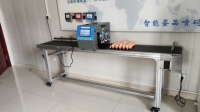 Imprimante à jet d'encre continu pour œufs de poulet, équipement de codage en ligne pour œufs, impression de la date d'expiration sur les œufs pour les ateliers de production d'œufs