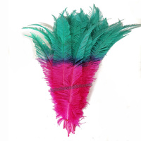 Violet citron vert deux tons Nandu plumes d'autruche pour fête maison mariage décor bricolage artisanat Floral chapeau chapellerie chapeaux accessoire