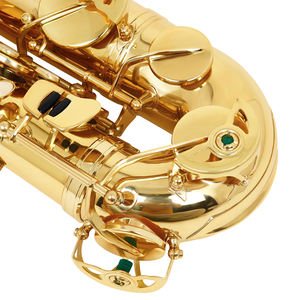 Venta directa <span class=keywords><strong>de</strong></span> fábrica SLADE <span class=keywords><strong>de</strong></span> melodía C con instrumento <span class=keywords><strong>de</strong></span> saxofón alto profesional <span class=keywords><strong>de</strong></span> doble cuello Curvo - Product Image 3