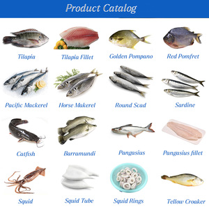 Peixe Congelado Pangasius (Bagre) HGT Barato para Exportação do Vietnã – Peixe <span class=keywords><strong>Basa</strong></span> HGT à Venda - Product Image 5