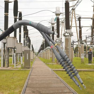 WLS NLS <span class=keywords><strong>JLS</strong></span> Kits de terminación retráctil en frío para interiores/exteriores 35KV Accesorios de cable retráctil en frío 35/3.1 Kit de juntas de goma - Product Image 4