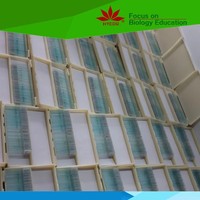 Ourself factory individual Skeletal Muscle l.s and c.s prepared microscope slide