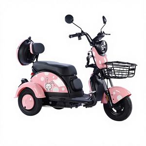 Tricycle électrique à trois roues à vitesse unique 48V en acier à haute teneur en carbone avec frein à tambour, directement de l'usine, pour les loisirs des personnes âgées - Product Image 1