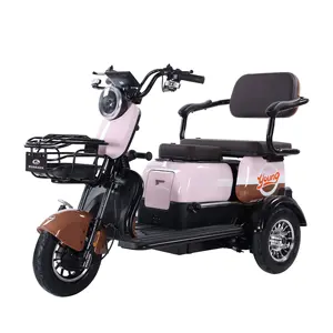 Electric Scooters 3 Wheel Bike Bicycle Electric Tricycles 800W Motor Tricycle Electric Cargo Three Wheel Passenger Tricycles