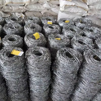 Fil barbelé de haute qualité de 500 mètres, galvanisé à chaud, Arame Farpado en bobine, à vendre