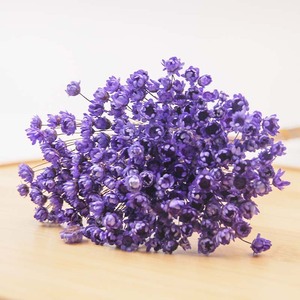 <span class=keywords><strong>Fleur</strong></span> <span class=keywords><strong>de</strong></span> gypsophile préservée, souffle <span class=keywords><strong>de</strong></span> bébé séché, <span class=keywords><strong>fleur</strong></span> <span class=keywords><strong>de</strong></span> souffle <span class=keywords><strong>de</strong></span> bébé séchée pour la décoration <span class=keywords><strong>de</strong></span> mariage - Product Image 1