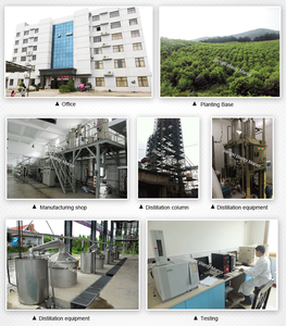 공장 공급 중국 오리지널 녹나무 벌크 25 kg 가방 합성 장뇌 최고 등급 최고의 가격 화장품 장뇌 원료 - Product Image 6