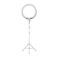 Anneau lumineux blanc de 20 pouces, support de studio photo portable ultra-mince de 70W avec télécommande pour téléphone, photographie de salon de beauté