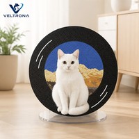 Planche à gratter pour chat en carton ondulé, forme de disque vinyle, sans débris, écologique pour les chats