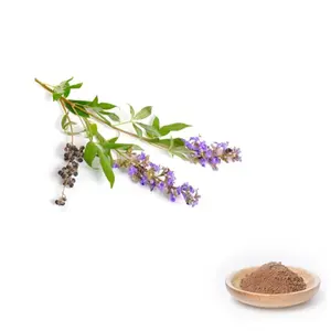 Food Supplement Vitex Agnus Castus 10:1 Chasteberry Extract Powder