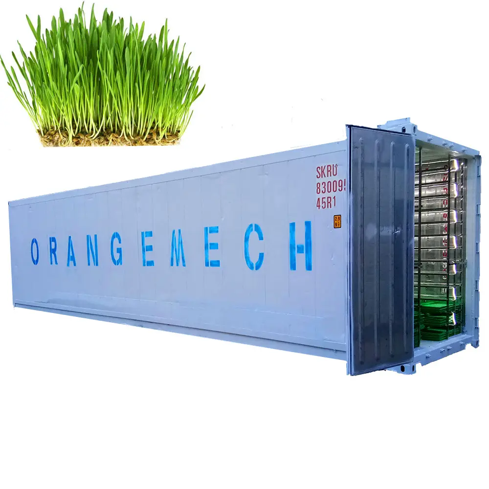 Contenedor automático de brotes de forraje para animales, sistema hidropónico de cultivo de cebada con bandejas verdes, 1500KG al día
