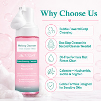 Nettoyant Moussant Visage Personnalisé OEM à la Niacinamide et à la Calamine, Nettoyant Démaquillant Micellaire Lift-Away, Mousse Nettoyante à Bulles pour la Barrière Cutanée