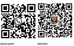 OPT出厂价汽车零件<span class=keywords><strong>2</strong></span>.0L全新原装SQR484F奇瑞G6全发动机 - Product Image 6